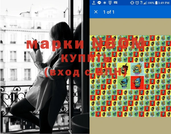 МДПВ Новозыбков