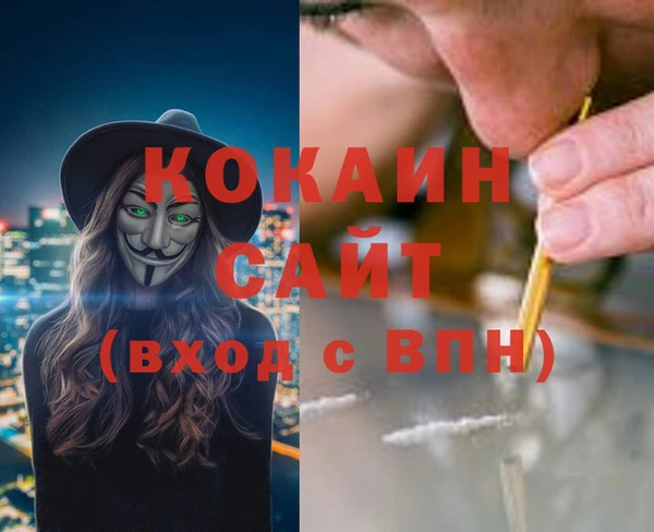МДПВ Новозыбков