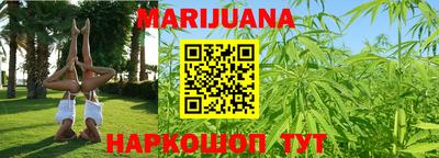 сатива Беслан