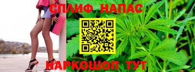 гидра Берёзовский