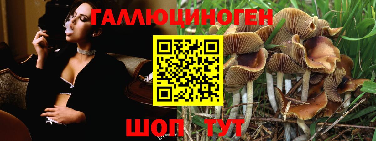 Лангепас  Псилоцибиновые грибы мухоморы  Вход с VPN  Псилоцибиновые грибы Psilocybe 