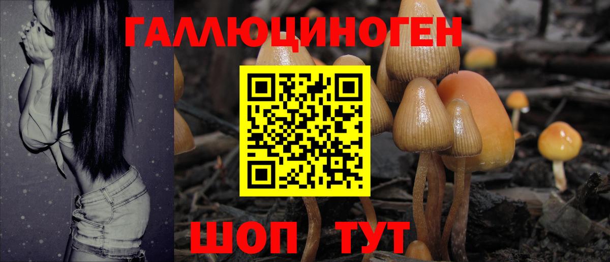 Псилоцибиновые грибы прущие грибы Лангепас